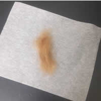 カットした毛髪を遺髪として紙に包んでお渡しいたします 形見・お守りとして お持ちください